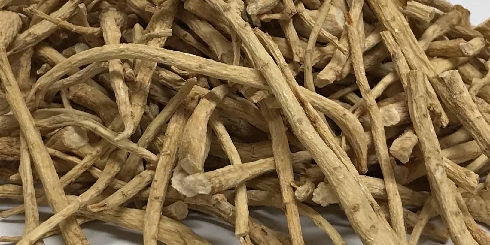 ginseng roots close up